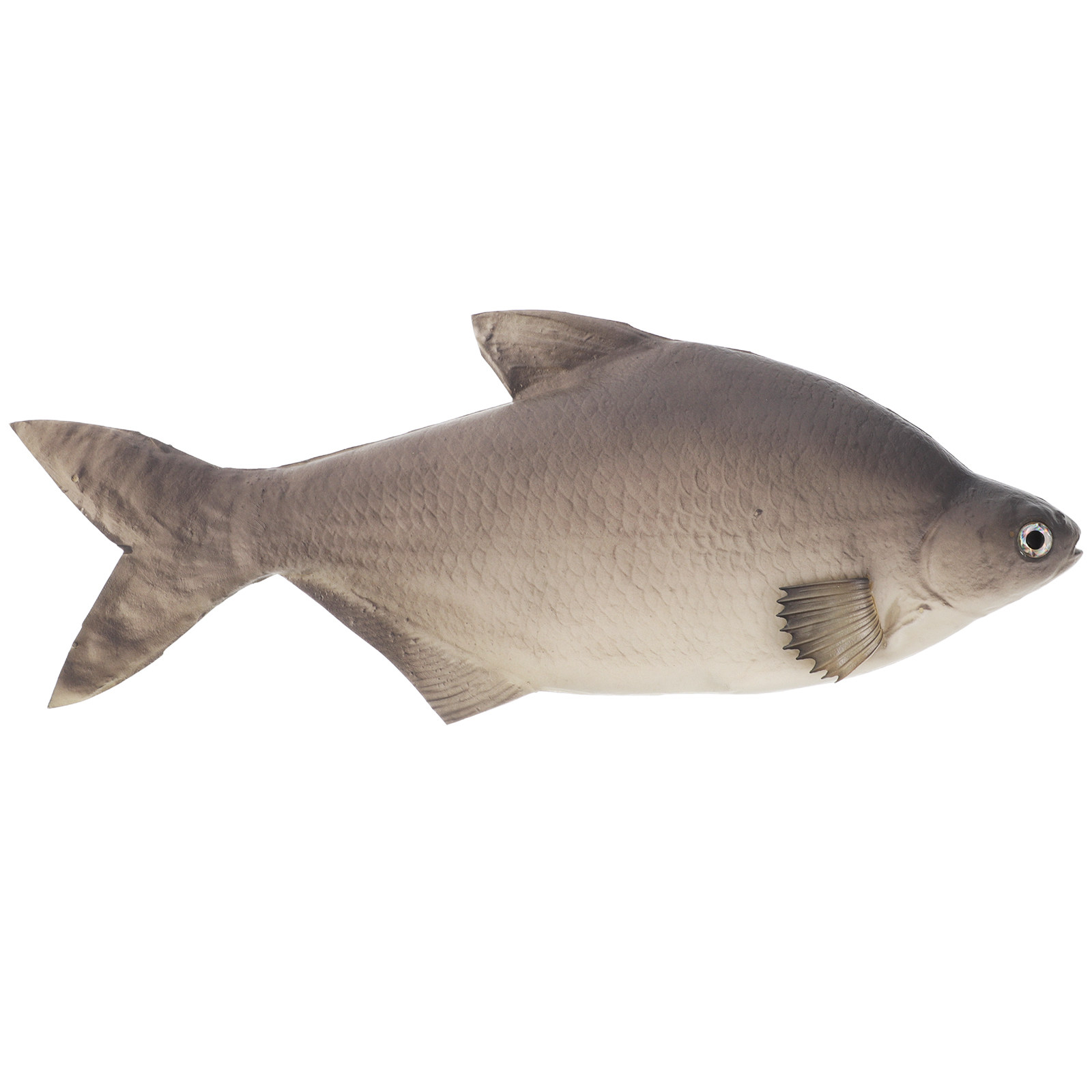 Aquarium Fish Market - Detailed PU Simulated Fish Artificial Lifelike