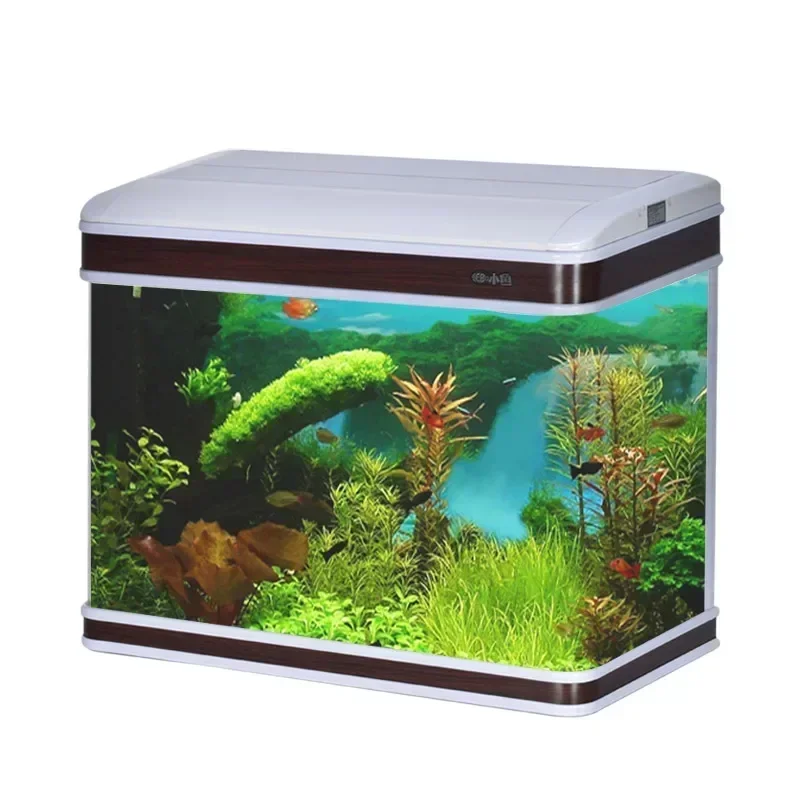 Aquarium Fish Supplier - Professional Aquarium Supplier Aquarium Tank Light