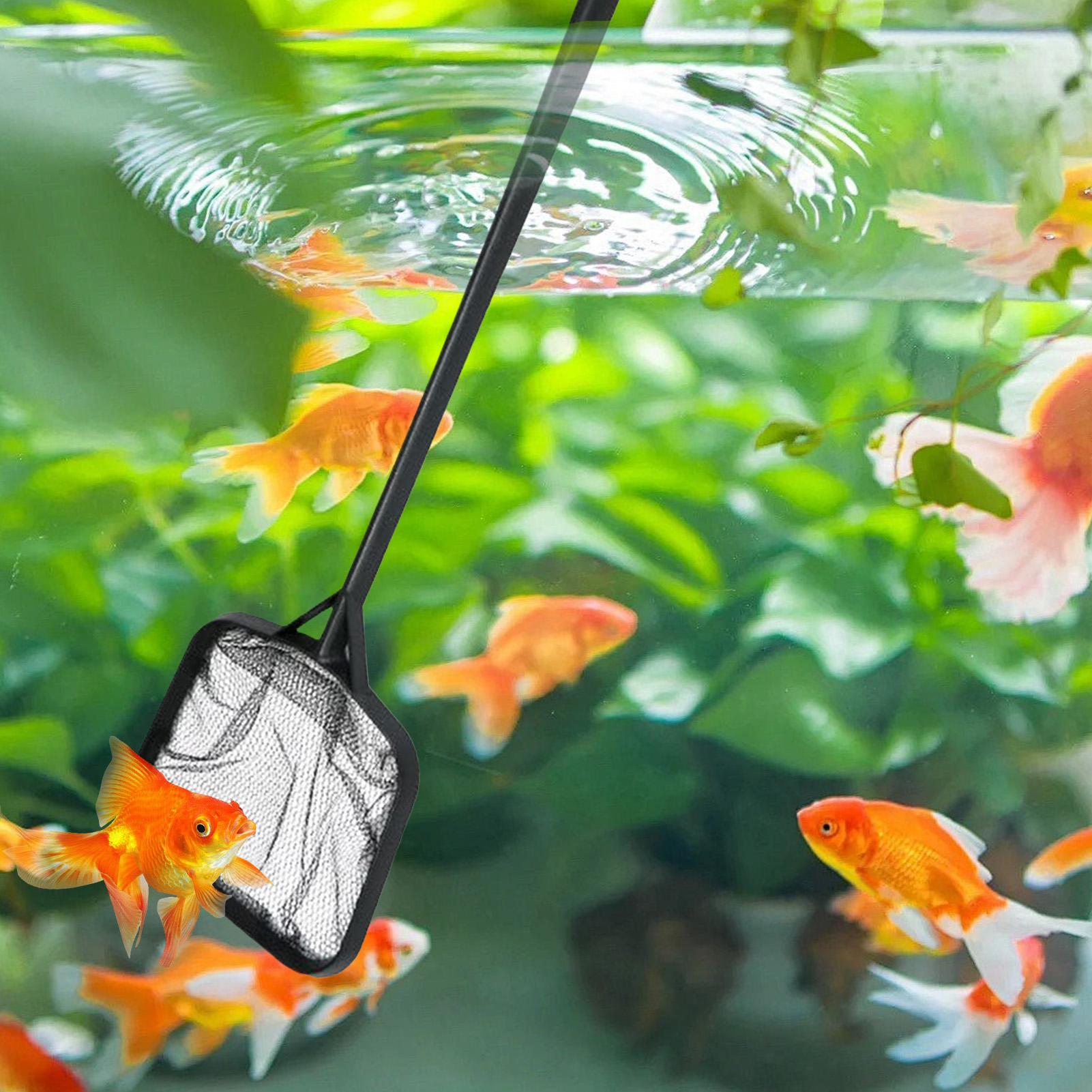 Pool Nets for Cleaning Portabl - Cleaner Fish Aquarium review and price