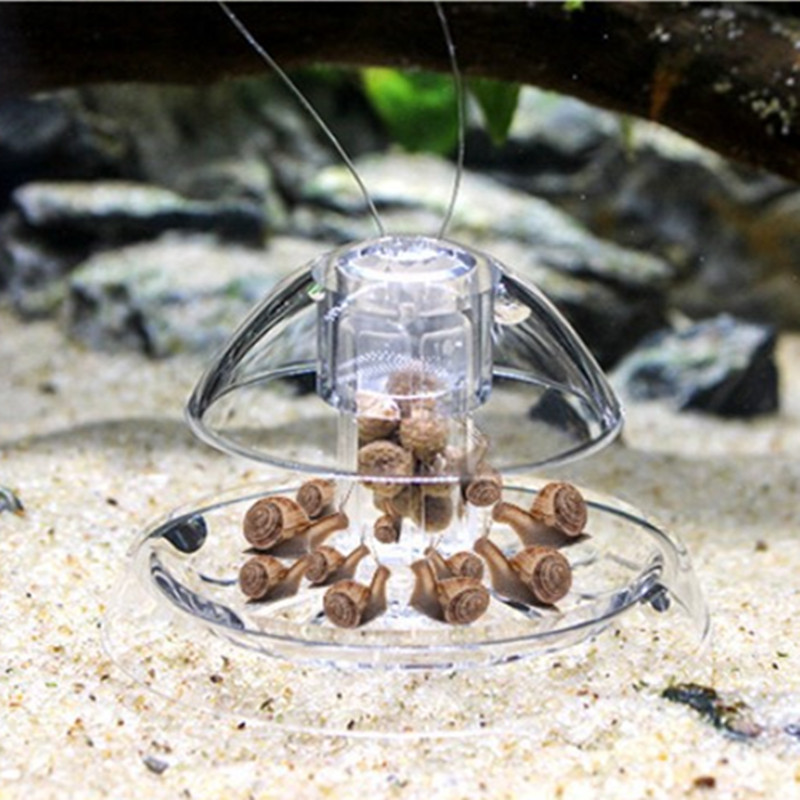1PCS Fish Tank Aquarium Cleane - Cleaner Fish Aquarium review and price
