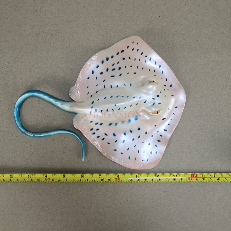 Aquarium Animal Model Toy Unde - Aquarium Fish Market review and price