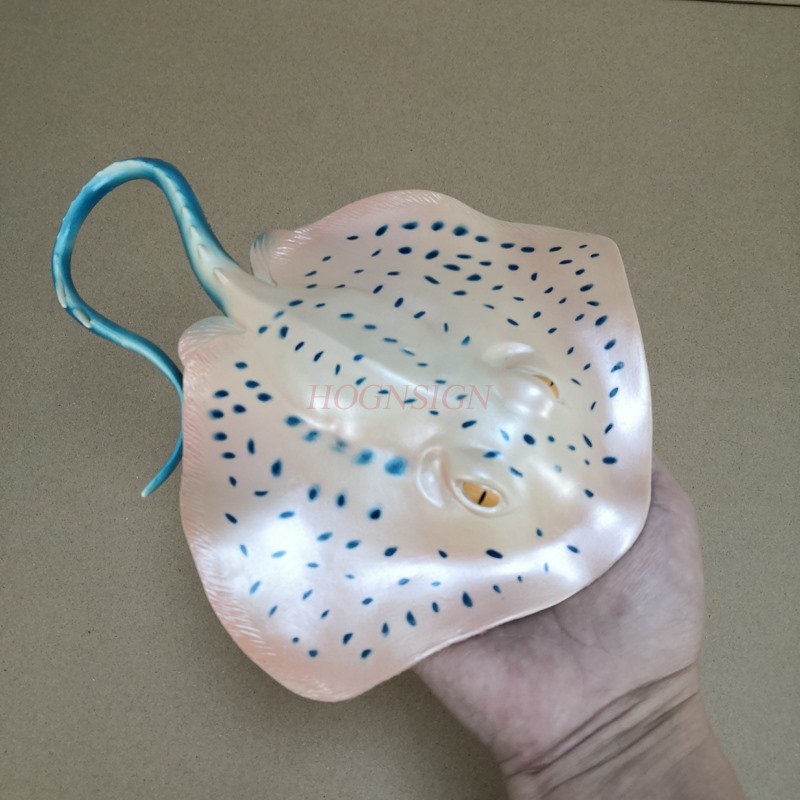 Aquarium Animal Model Toy Unde - Aquarium Fish Market review and price