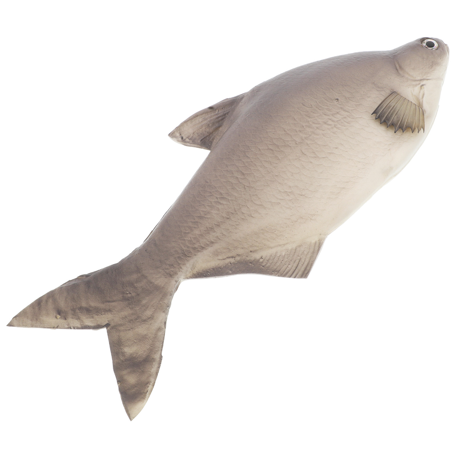 Detailed PU Simulated Fish Art - Aquarium Fish Market review and price