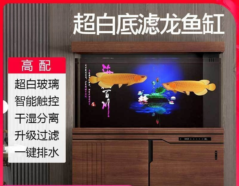 Xilong fish tank large and med - Aquarium Xilong review and price