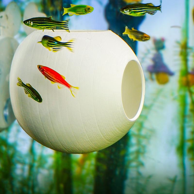 Aquarium Shrimp Dome Shelter H - Aquarium Fish Ball review and price