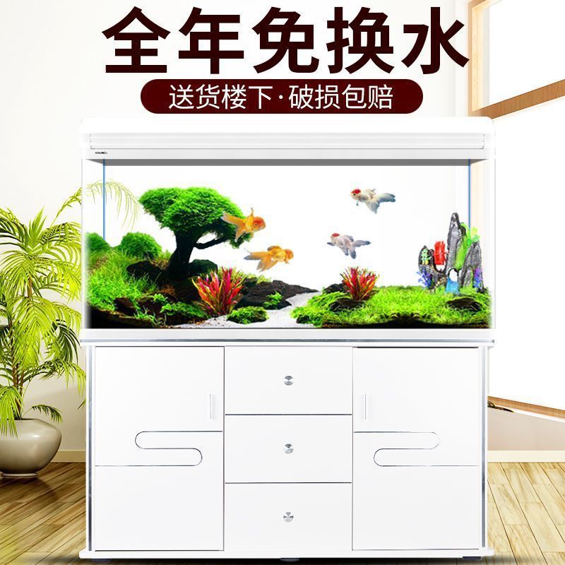 Xilong fish tank aquarium smal - Aquarium Xilong review and price