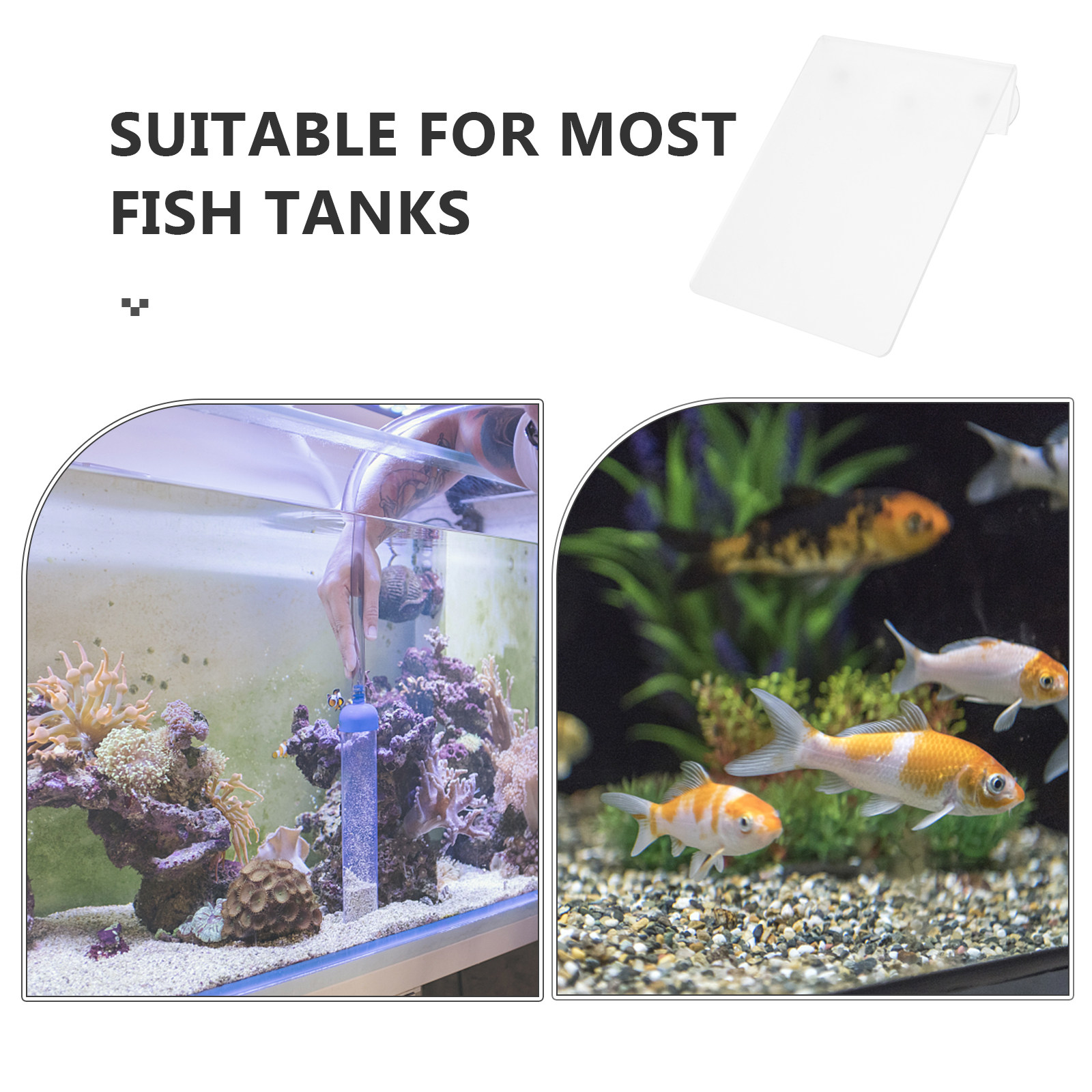 Removable Fish Breeding Lightw - Aquarium Fish Discus review and price
