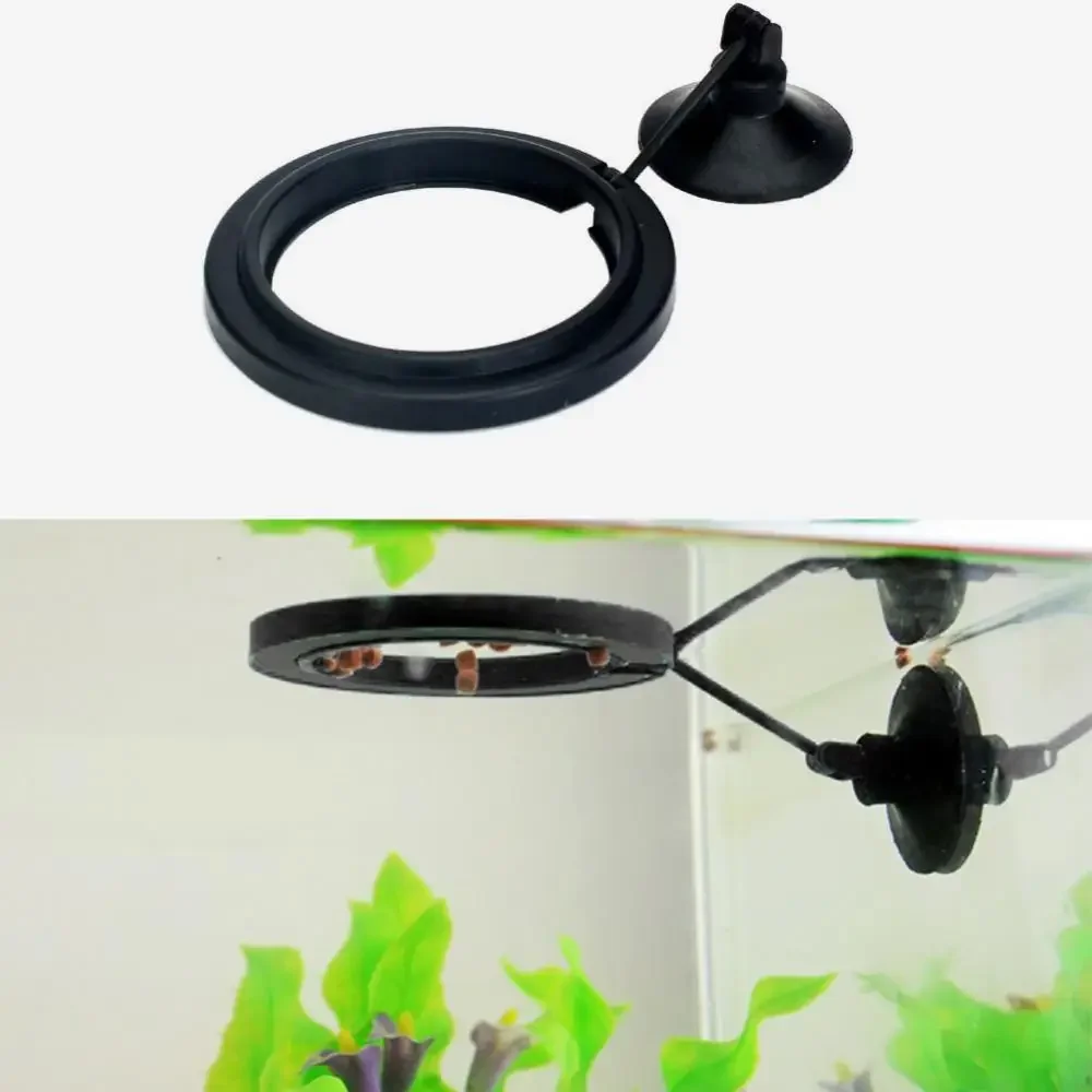 Feed Suction Cup Aquarium Feed - Aquarium Fish Food review and price