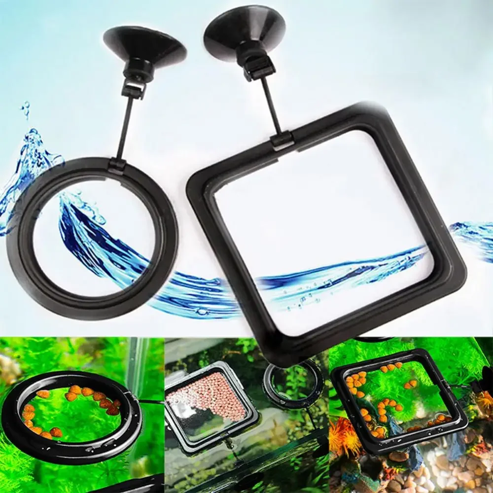 Feed Suction Cup Aquarium Feed - Aquarium Fish Food review and price