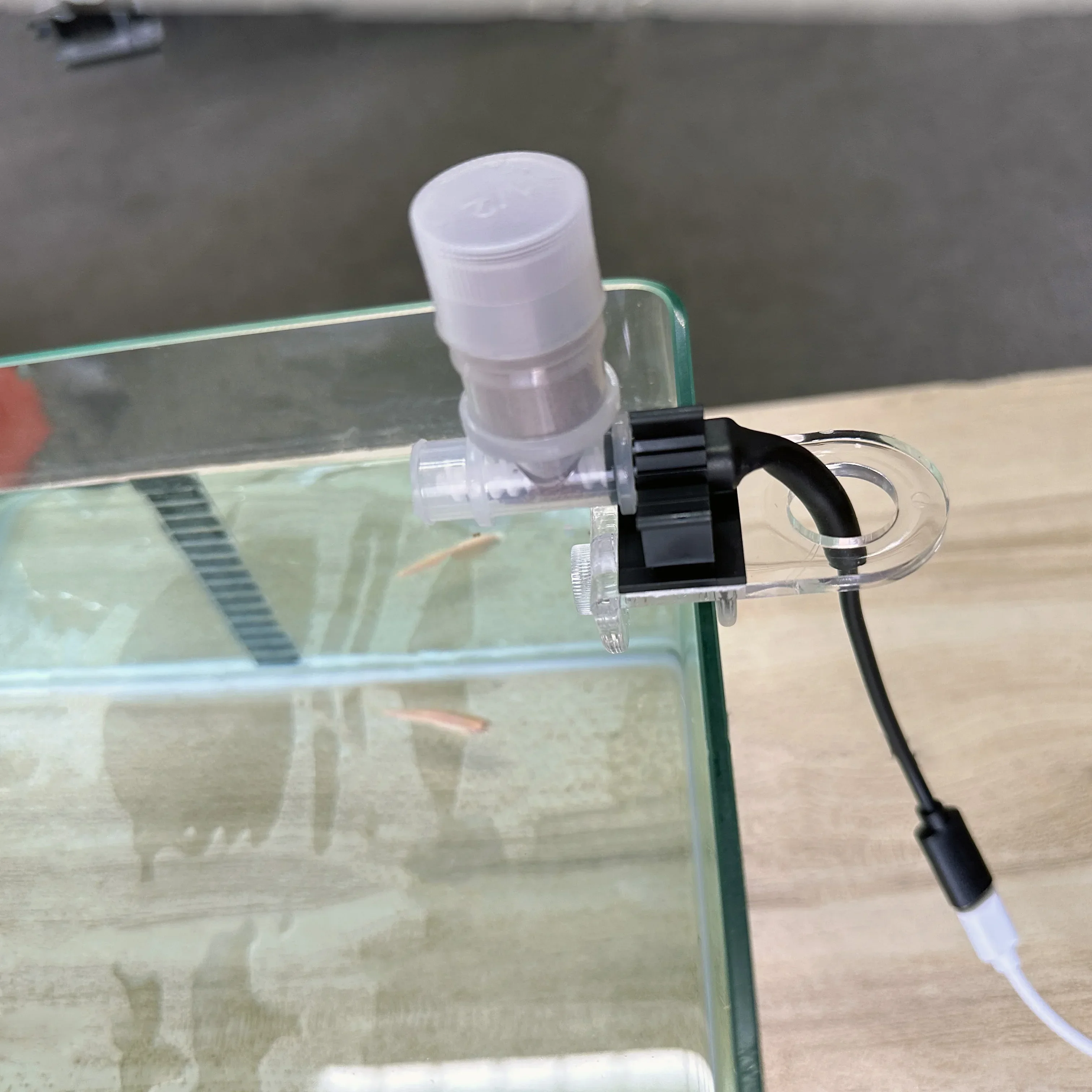 Best Automatic Fish Feeder - W - Aquarium Fish Food review and price