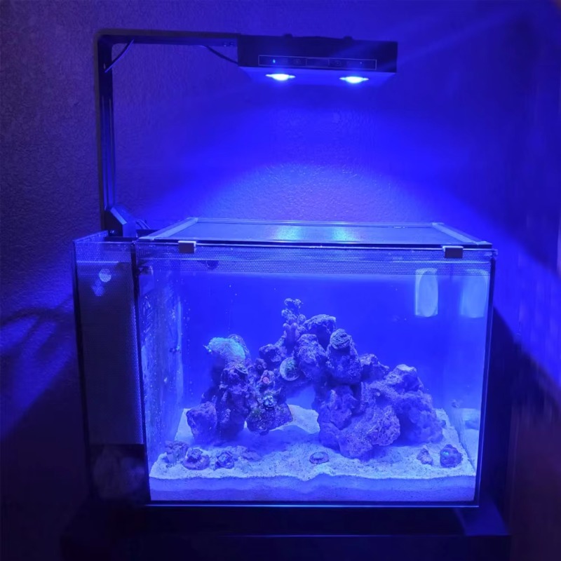 China Supplier Dimmable 95W Fu - Aquarium Fish Supplier review and price