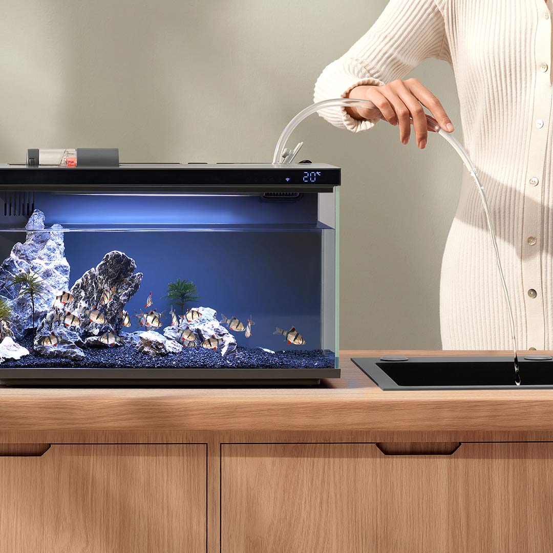 Xiaomi Mijia Smart Fish Tank M - Aquarium Fish Food review and price