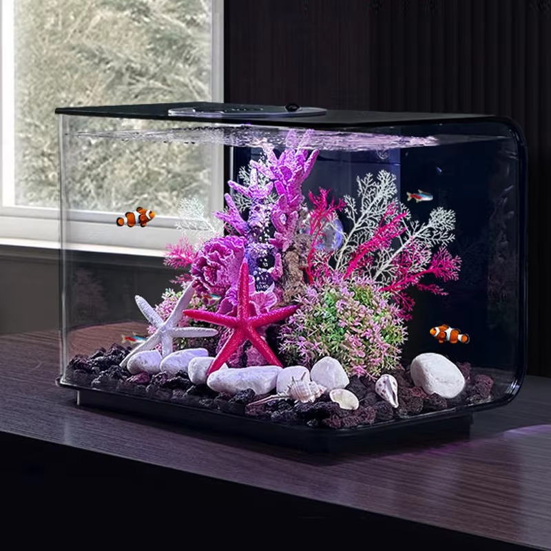Aquarium Living Room Small Fis - Aquarium Fish Supplier review and price
