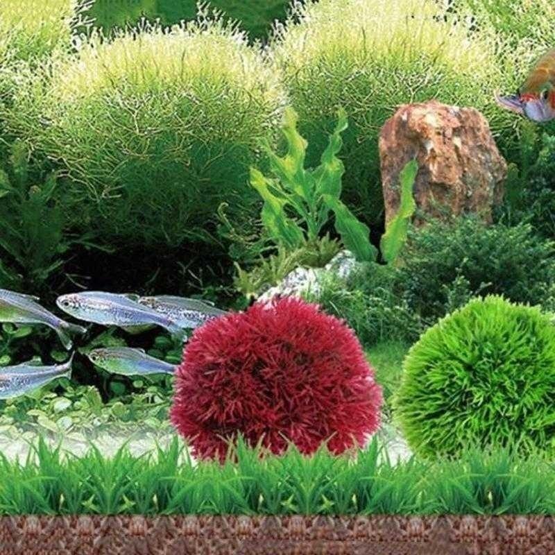 2026 Artificial Aquatic Plasti - Aquarium Fish Ball review and price