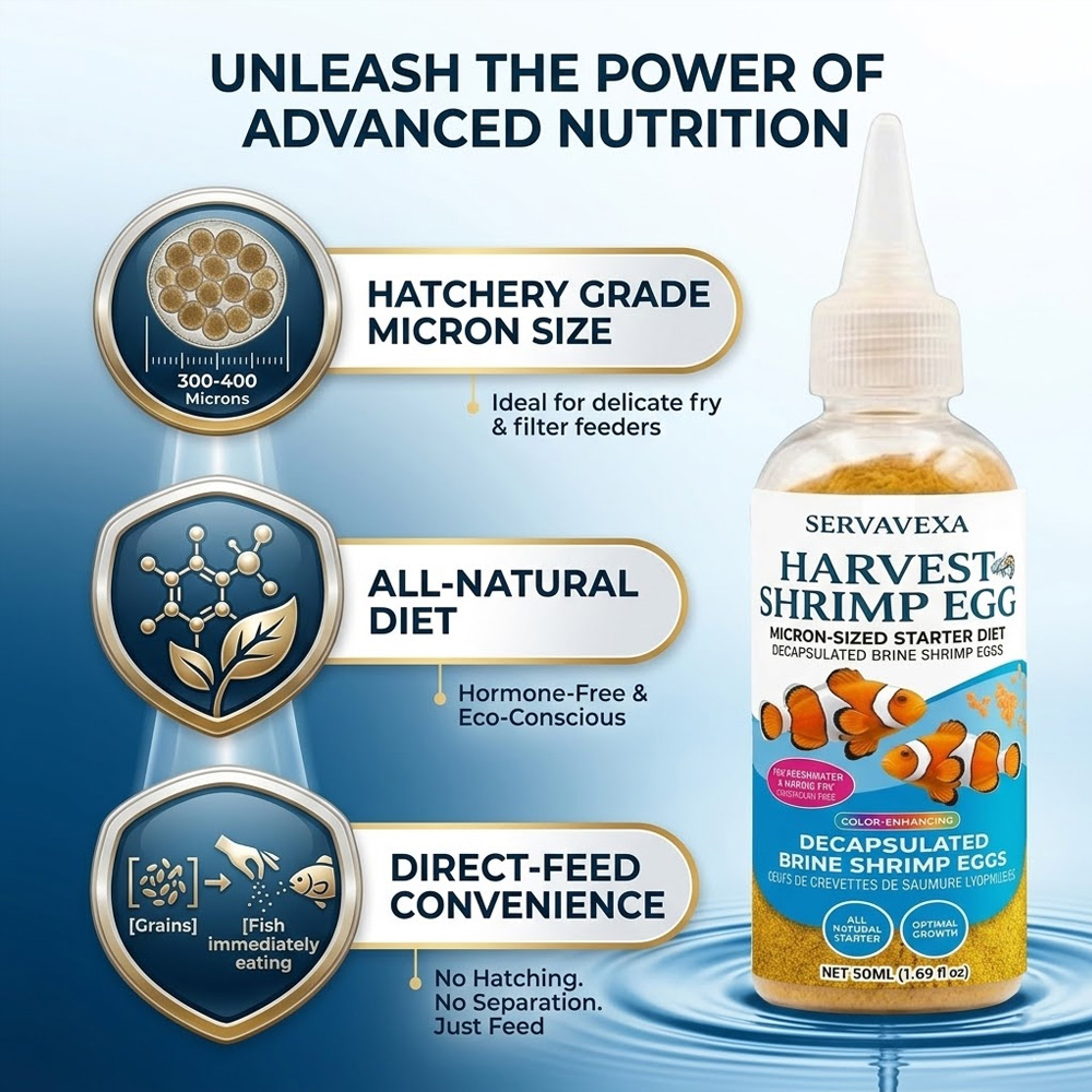 High Protein Fish Food for Bet - Aquarium Fish Food review and price