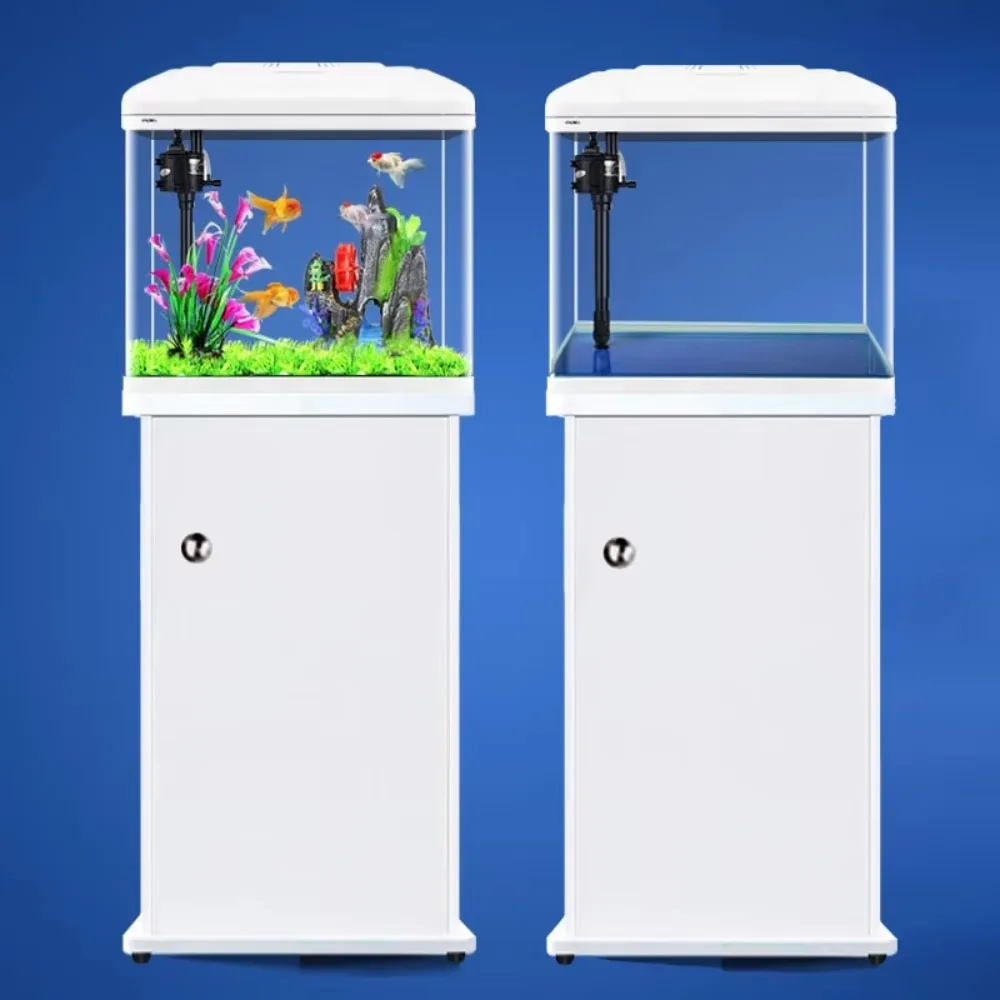Aquarium Xilong Medium and Sma - Aquarium Xilong review and price