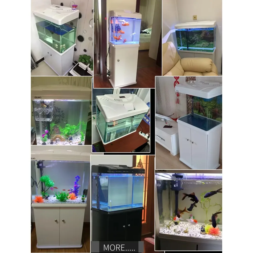 Aquarium Xilong Medium and Sma - Aquarium Xilong review and price