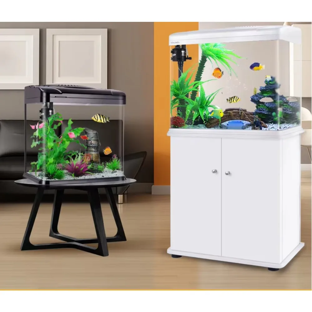 Aquarium Xilong Medium and Sma - Aquarium Xilong review and price