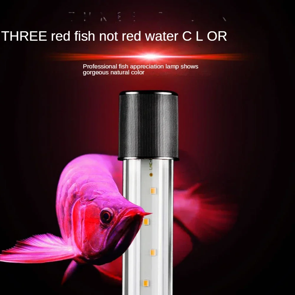 Arowana Lamp, LED Glass Aquari - Aquarium Fish Parrot review and price